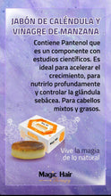 Cargar imagen en el visor de la galería, KIT CABELLOS GRASOS 1 Kits cabellos grasos Magic Hair