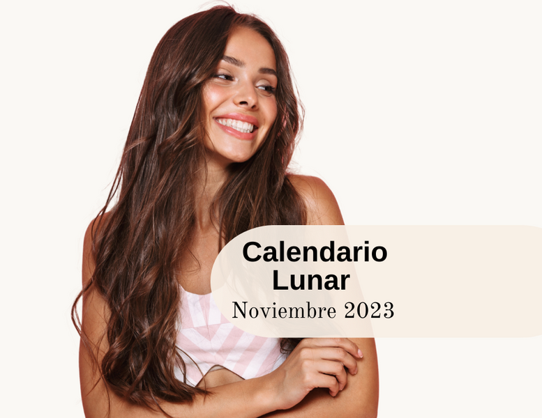 Calendario Lunar Noviembre 2023