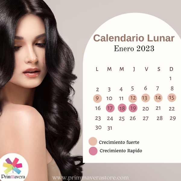 Calendario Lunar Enero 2023